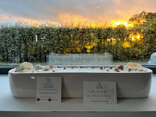 Load image into Gallery viewer, Paradise Beach Candle (L)