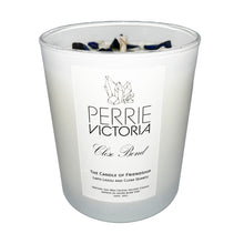 Load image into Gallery viewer, The Candle of Friendship